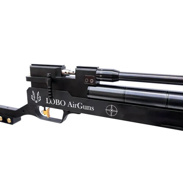 carabina XR-100 detalle 4