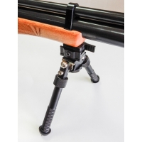 Mini rail picatinny en carabina Azor