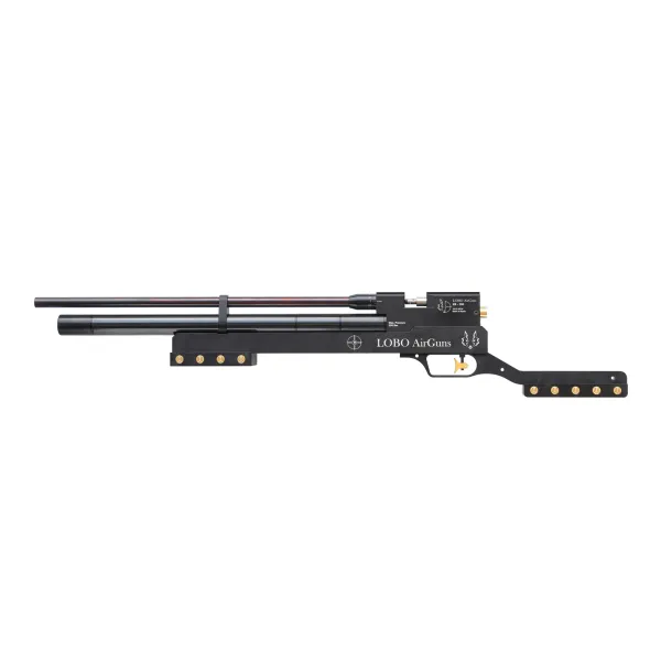 carabina XR-100 competición